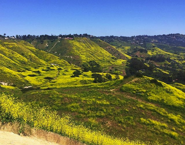 The Palos Verdes Peninsula Land Conservancy: Preserving Nature for You and Yours